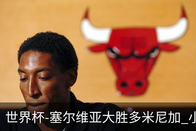 世界杯-塞尔维亚大胜多米尼加 小组第二进八强